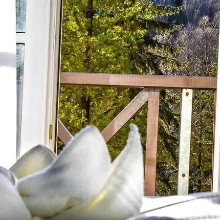 Villa Wilisch Amtsberg Bagian luar foto