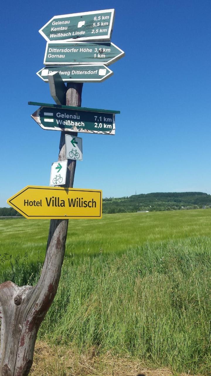 Villa Wilisch Amtsberg Bagian luar foto